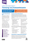 About Ice Fact Sheet (Indonesian)