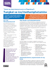 About Ice fact sheet image